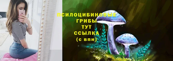 хмурый Армянск