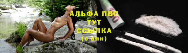 винт Арсеньев