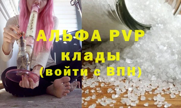 гидра Балахна