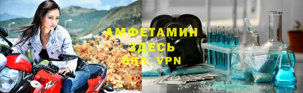 прущие грибы Пересвет